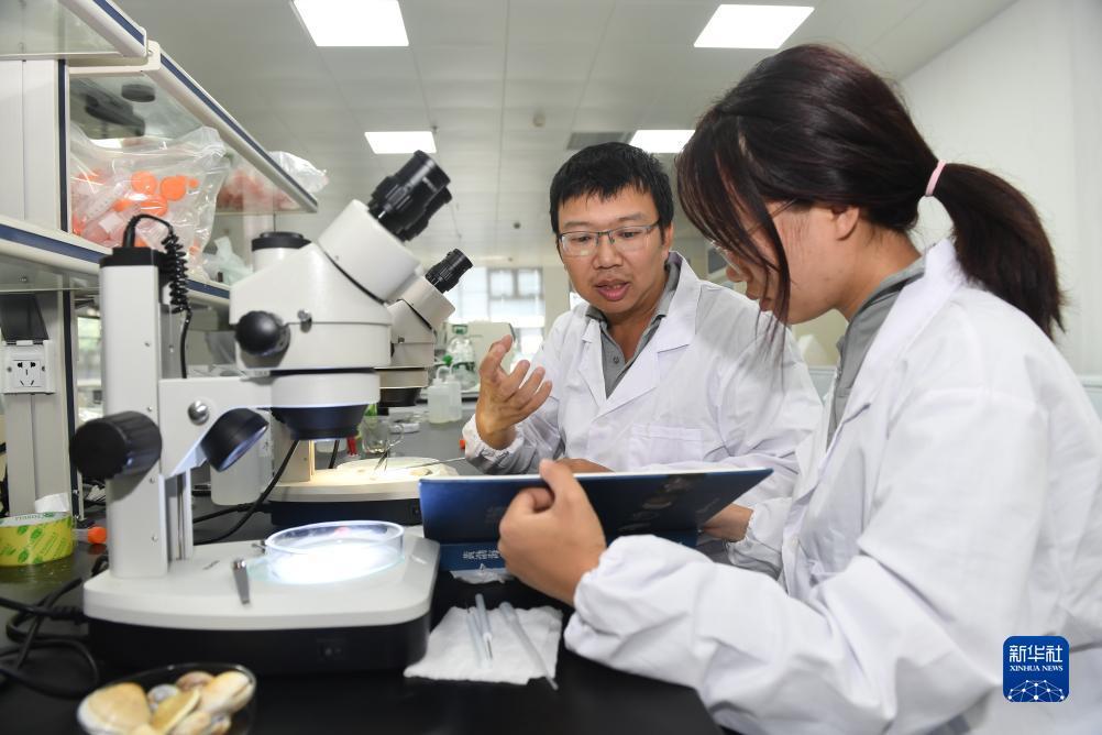 新老虎机下载